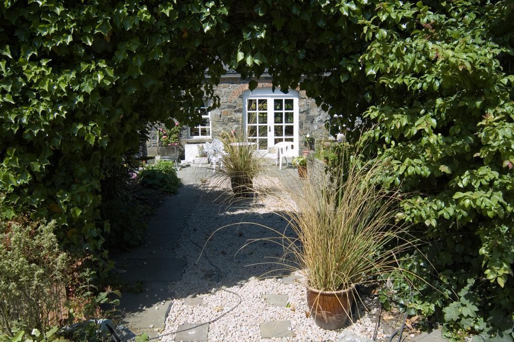 Shola Coach House B&B Coleraine Buitenkant foto