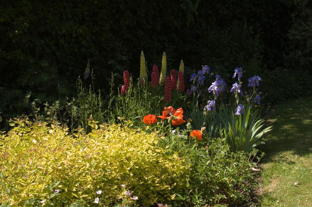 Shola Coach House B&B Coleraine Buitenkant foto