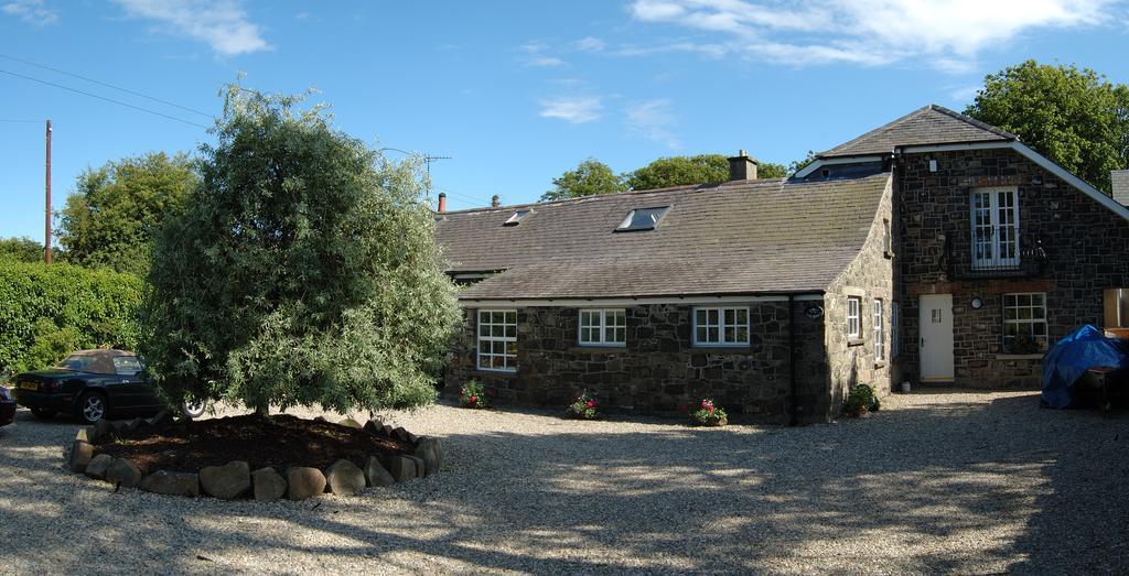 Shola Coach House B&B Coleraine Buitenkant foto
