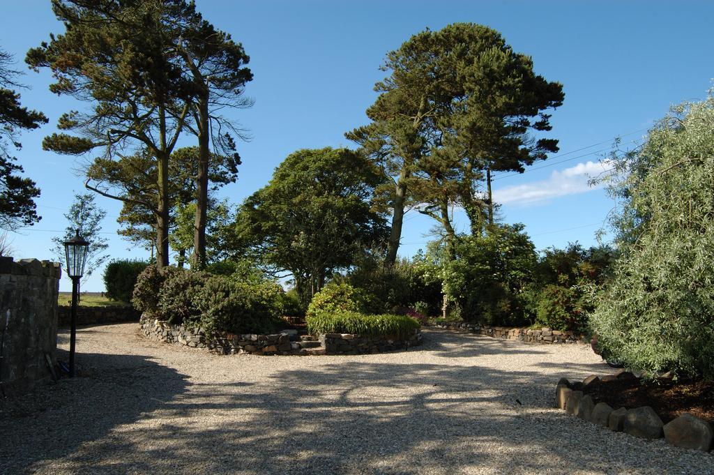 Shola Coach House B&B Coleraine Buitenkant foto